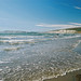Sandy Compton Photo 40
