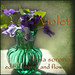 Violet Johnson Photo 7