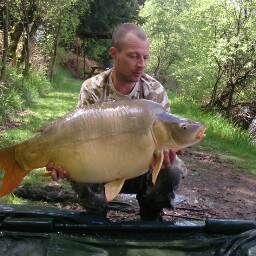 Ross Mcdaniel Photo 24