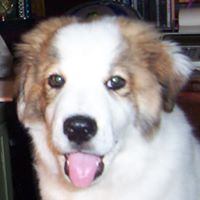 Kathy Strawn Photo 17