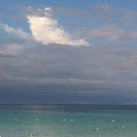 Amy Carlisle Photo 32