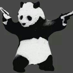 Charlie Cheng Photo 25
