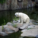 Bobby Baer Photo 21