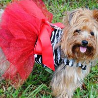 Sadie May Photo 16