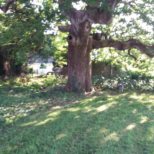 Belinda Perkins Photo 9