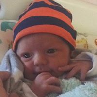 Debbie Gross Photo 31