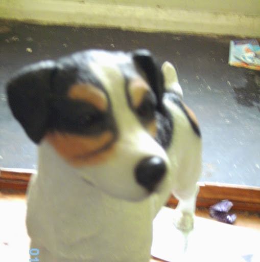 Shaun Osborne Photo 17