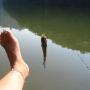 Connie Blanton Photo 8