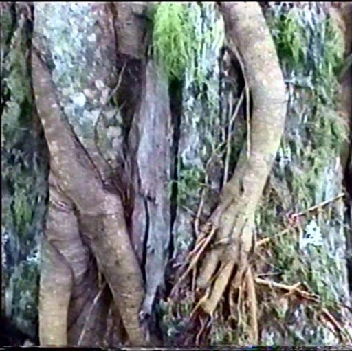 Craig Ritter Photo 36