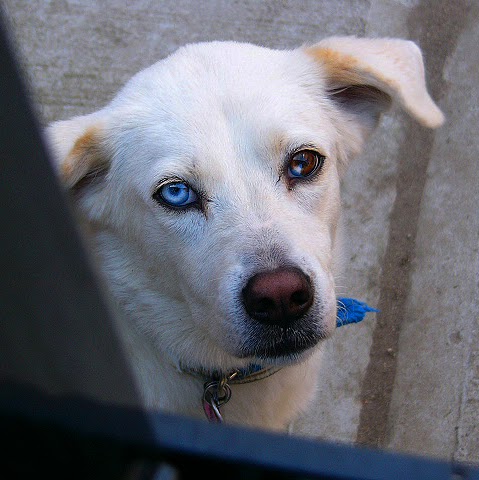 Patricia Clements Photo 11 Patricia Clements Photo 11