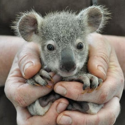 Mike Alberts Photo 37