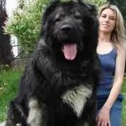 Cynthia Douglass Photo 9