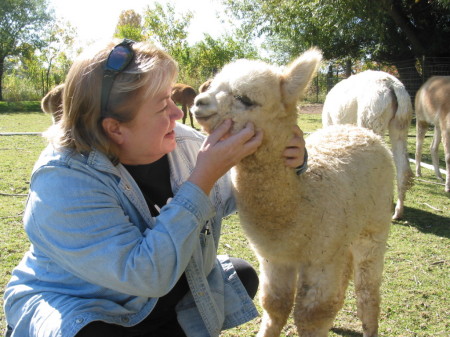 Susan Everett Photo 19
