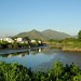 Chung Yu Photo 14