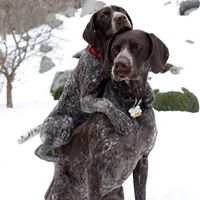 Kevin Tuttle Photo 44 Kevin Tuttle Photo 44