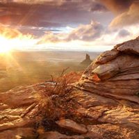 Wayne Talley Photo 16