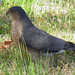Jan Sharp Photo 45