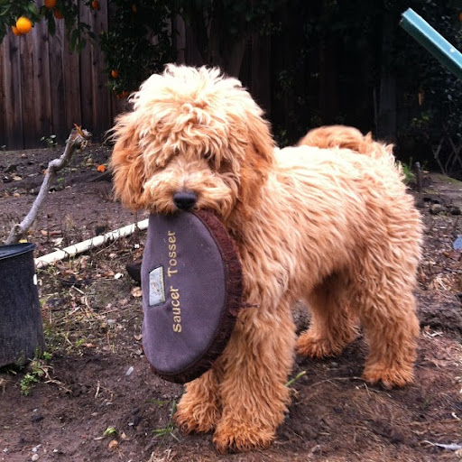 David Stromberg Photo 16