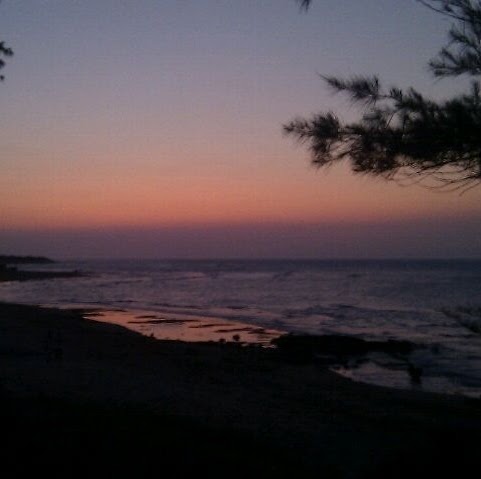 Cynthia Chang Photo 27