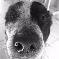 Kristen Flannery Photo 3