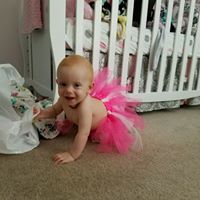 Matthew Shelton Photo 14