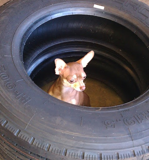 Bryan Gabriel Photo 26