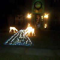 Erica Hargis Photo 6