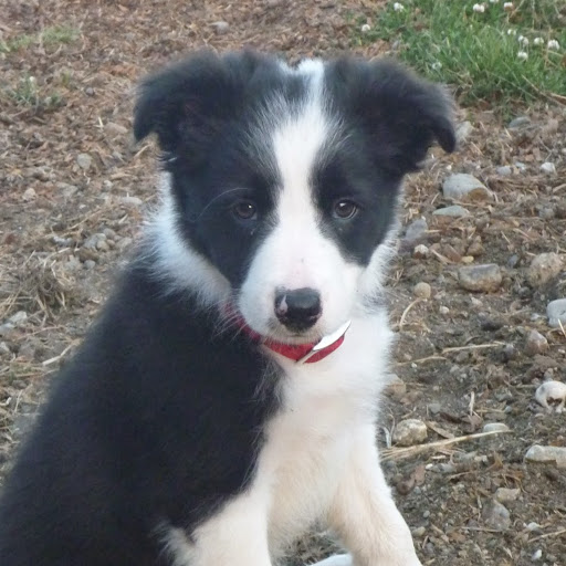 Jill Hackett Photo 28