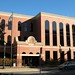 Anna Hall Photo 14