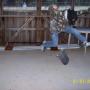Aaron Milligan Photo 25