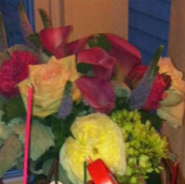 Amy Tisdale Photo 5