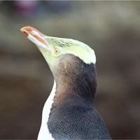 Daniel Rauch Photo 19 Daniel Rauch Photo 19