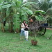 Yen Lai Photo 35