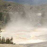 Valerie Webster Photo 14 Valerie Webster Photo 14