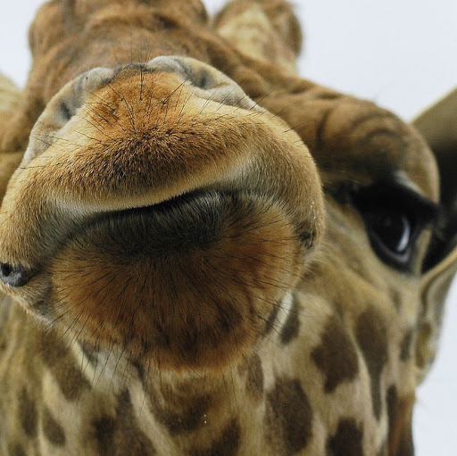 Heather Conn Photo 22