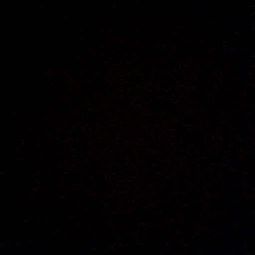 Alice Randall Photo 32