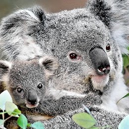 Steven Vaughan Photo 22