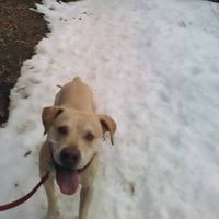 Wesley Groves Photo 19