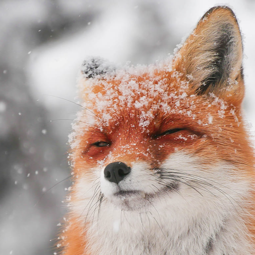 Eric Christenson Photo 24