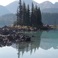 Susan Frese Photo 2