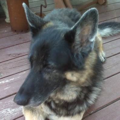 Maureen Morrissey Photo 8