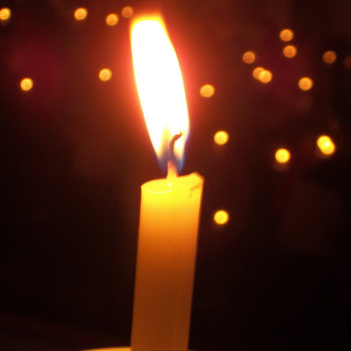 Laurie O'Connor Photo 6