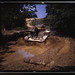 Alfred Stuart Photo 13