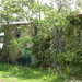 Billy Trammell Photo 12
