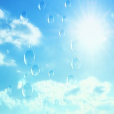 Josephine Thomas Photo 8