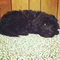 Christine Fusco Photo 19