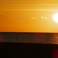 Carolyn Combes Photo 5