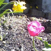 Lisa Tuttle Photo 18