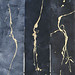 James Chau Photo 31