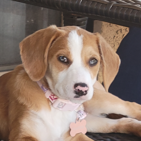 Keith Kramer Photo 13